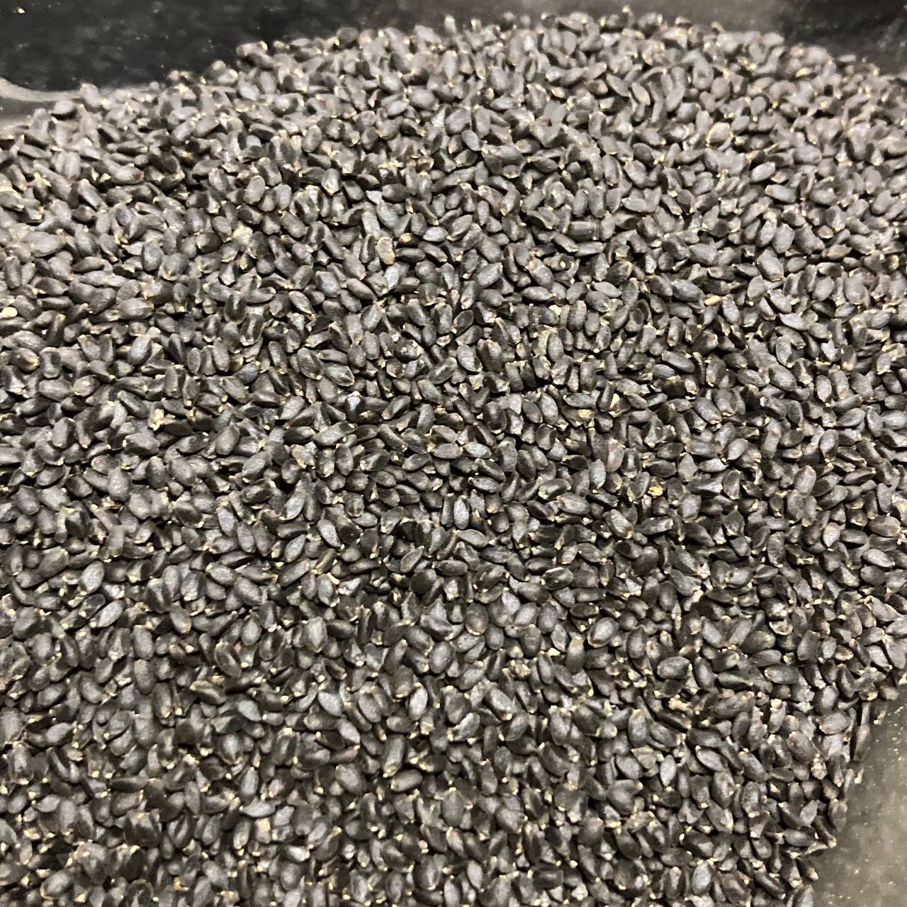 تخم شربتی - Image 2