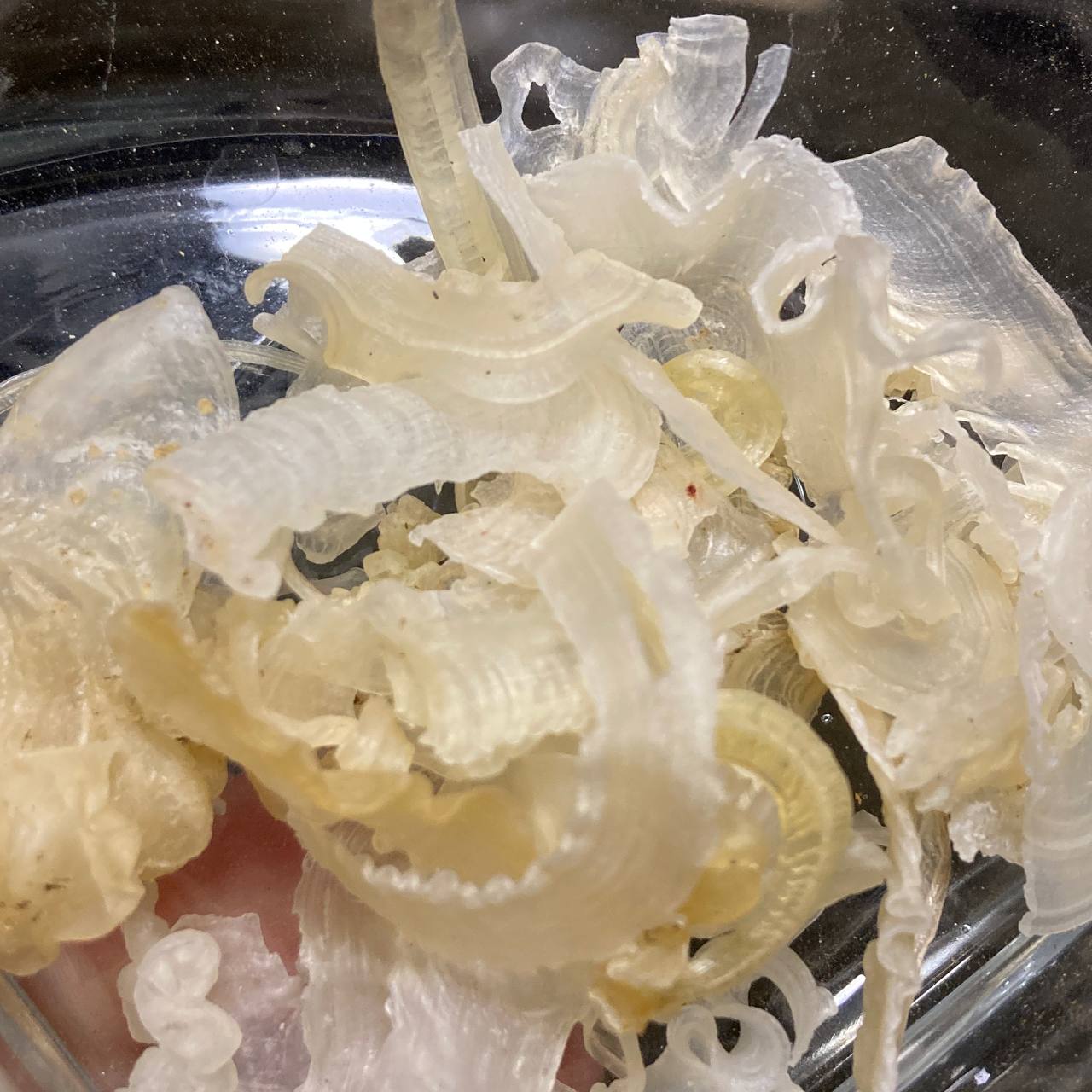 کتیرا خوراکی - Image 2