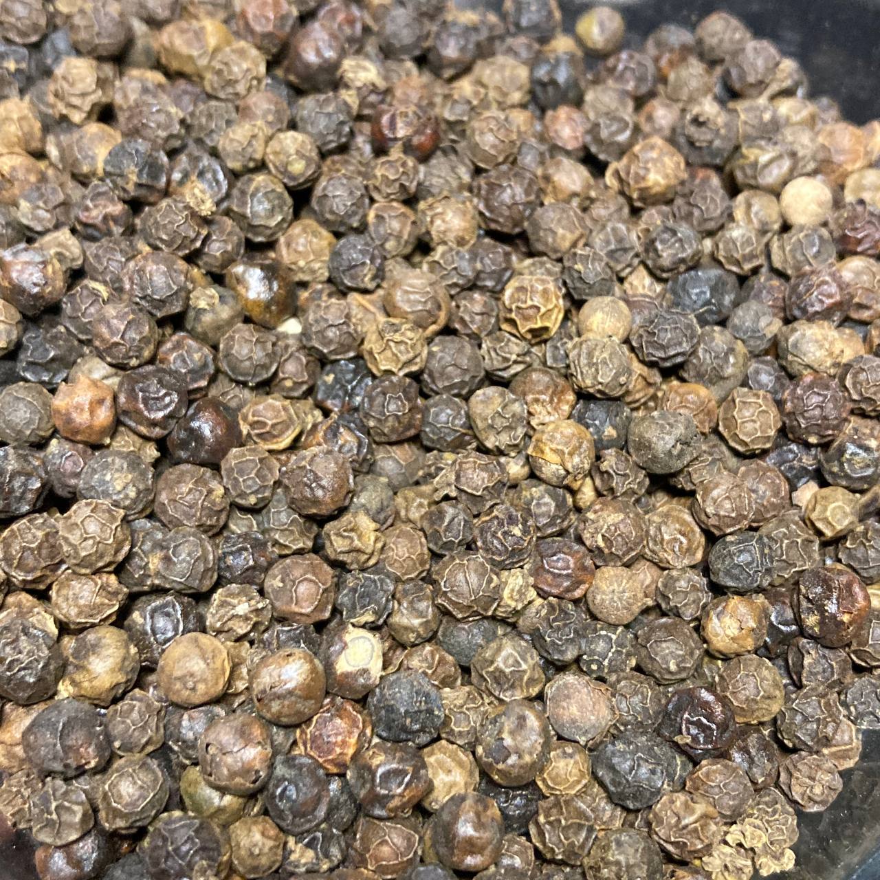 فلفل قلم - Image 2