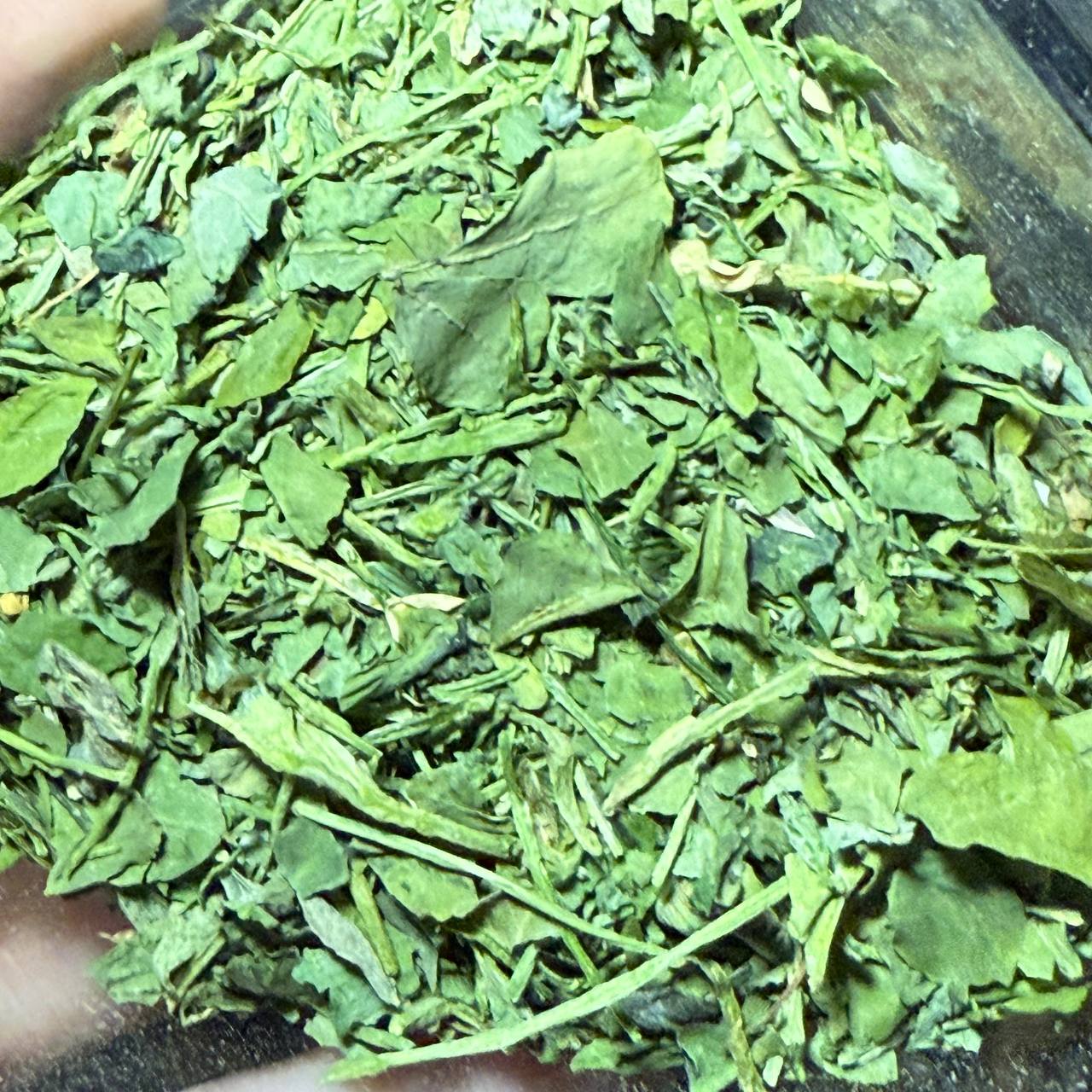 شنبلیله خشک