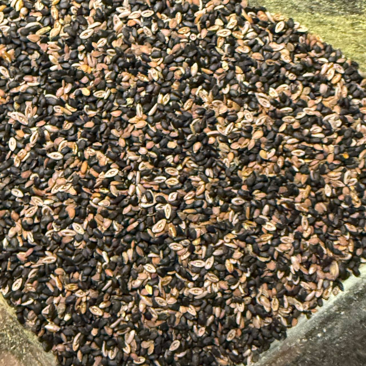 چهارتخم شربتی