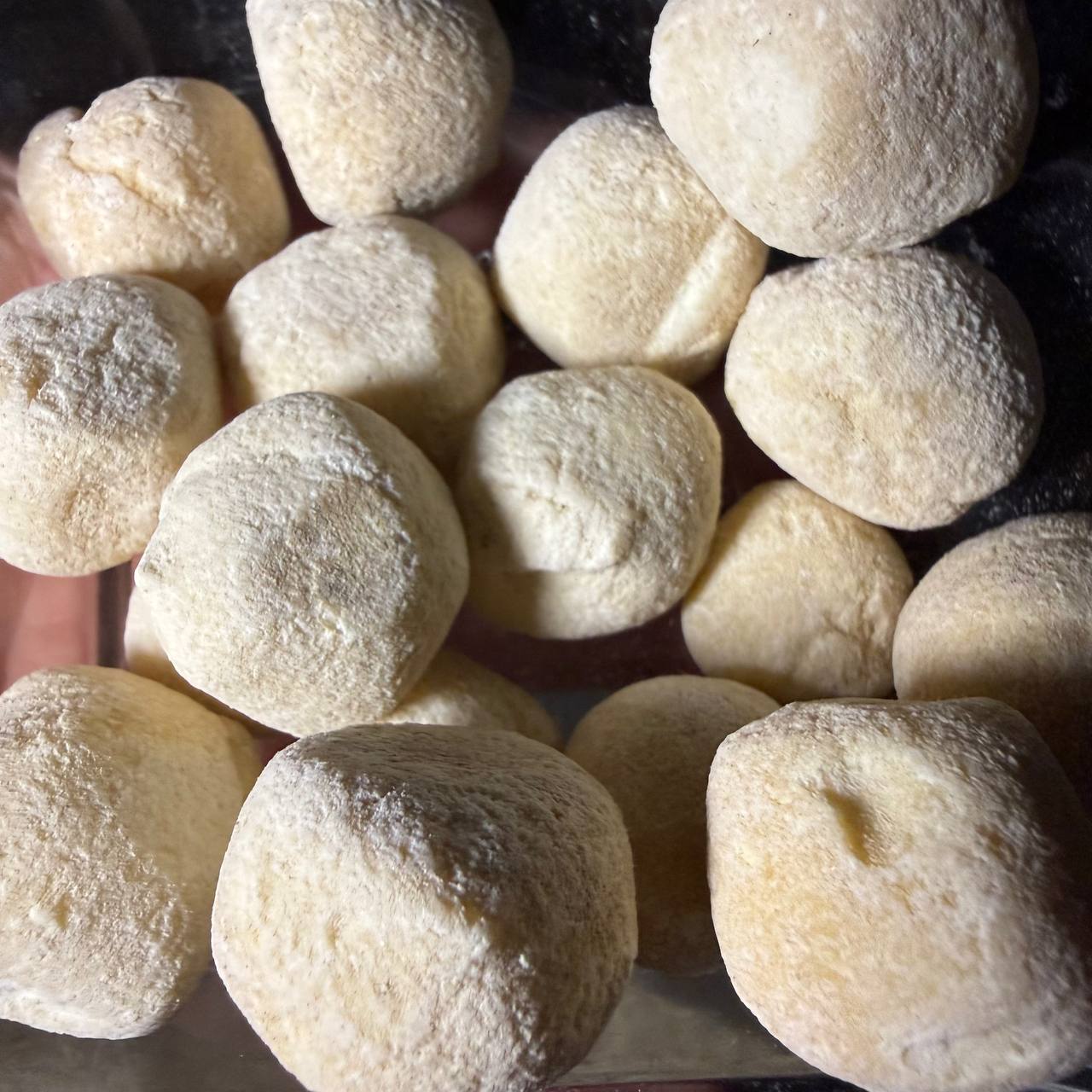 کشک گوسفندی